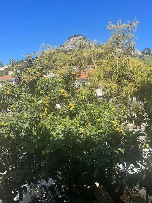 Daire Tres Bel Appartement A Hyères Fransa